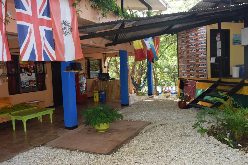 Casa Pura Vida Surf Hostel - Tamarindo Costa Rica Exteriör bild